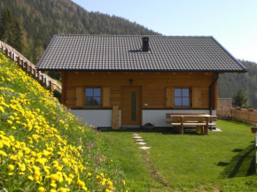 Chalet Niederhaushof